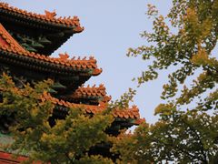 -故宫博物院(故宫)