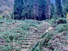 -九峰山