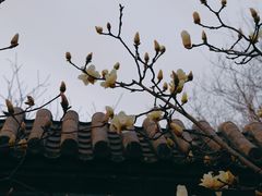 -三里河公园