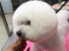 -宠福鑫康馨动物医院·骨科·眼科
