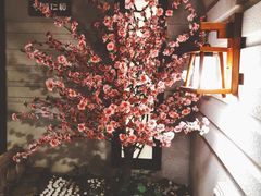 -长崎家日式料理(人民大街店)