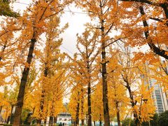 -百林公园-两江幸福广场