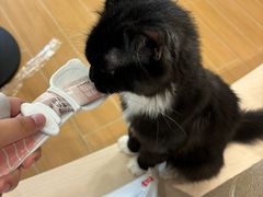 -首开·龙湖成都西宸天街
