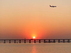 -宝安西湾红树林湿地公园