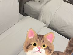 -苏州观前平江美居酒店