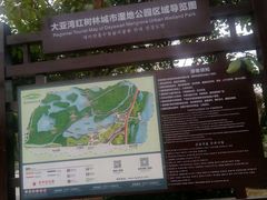 -大亚湾红树林城市湿地公园