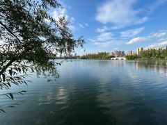 -洋湖国家湿地公园