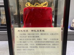 -游龙石文化科普馆