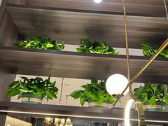 大堂-刘胖子家常菜·蹄花焖藕(中南店)