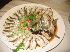 -楚灶王(徐东店)