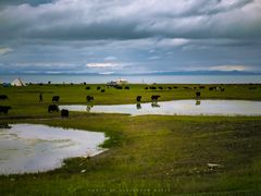 -青海湖国家重点风景名胜区