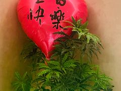 -老吉堂上海本帮菜(望京万象汇店)