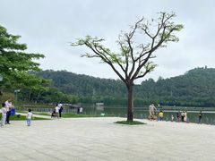 -顺峰山公园