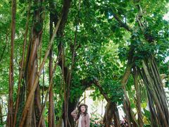 -世界恐龙谷景区