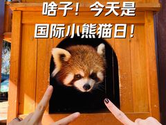 -云南野生动物园