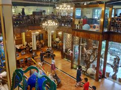 -more than meow吴止猫主题餐厅(承德 中船汇店)