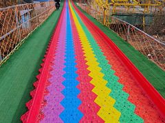 -南山特攻真人CS户外露营轰趴拓展基地