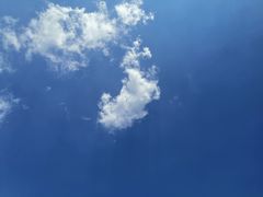 -玉舍国家森林公园