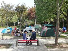 -新江湾城公园
