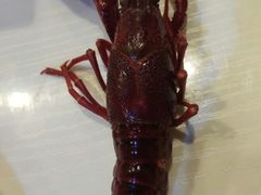 -虾弄弄海派小龙虾·牛羊蝎子火锅