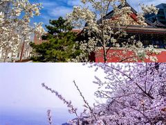 -北京凤凰岭