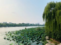 -济南大明湖景区