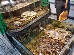 -海鲜e族(马王堆店)