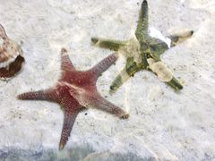 -福州罗源湾海洋世界旅游区