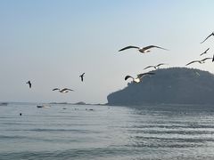 -棒棰岛宾馆景区