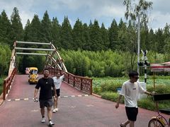 -黄海国家森林公园