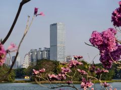 -南宁南湖公园