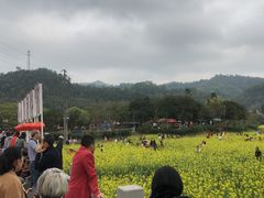 -红山村