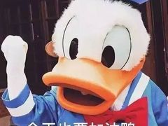 -顺德哥卜卜贝(旗舰店)