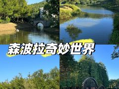 -森波拉奇妙世界