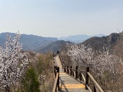 -大岭沟猕猴桃谷风景区