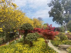 -铁山坪森林公园