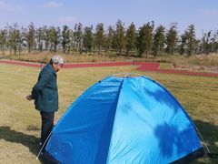 -春花秋色城市公园