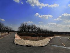 -天津东丽湖风景区