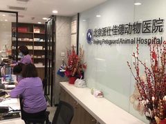 -北京派仕佳德动物医院·超导核磁·CT·神经科·骨科·内外科·急重症管理中心