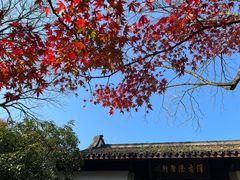 -宋宴(虎跑店)