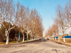 -南京航空航天大学(将军路校区)