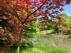 -凤凰沟景区