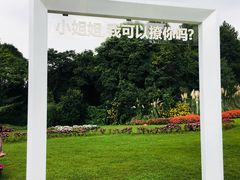 -保利石象湖景区