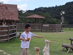 -龙岩森林水乡景区