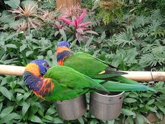 -南宫五洲植物乐园