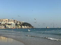 -海云台海滩