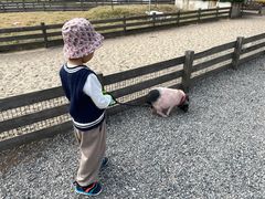 -前小桔亲子创意农场·草莓采摘·露营烧烤