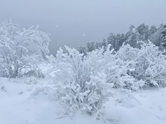 -秦岭风景区