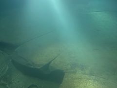 -白鹤梁水下博物馆