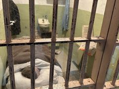 -阿尔卡特拉斯岛